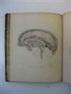 MEDICINE/SCIENCE  BELL, CHARLES.  The Anatomy of the Brain.  1802 + A Series of Engravings explaining the Course of the Nerves.  1803